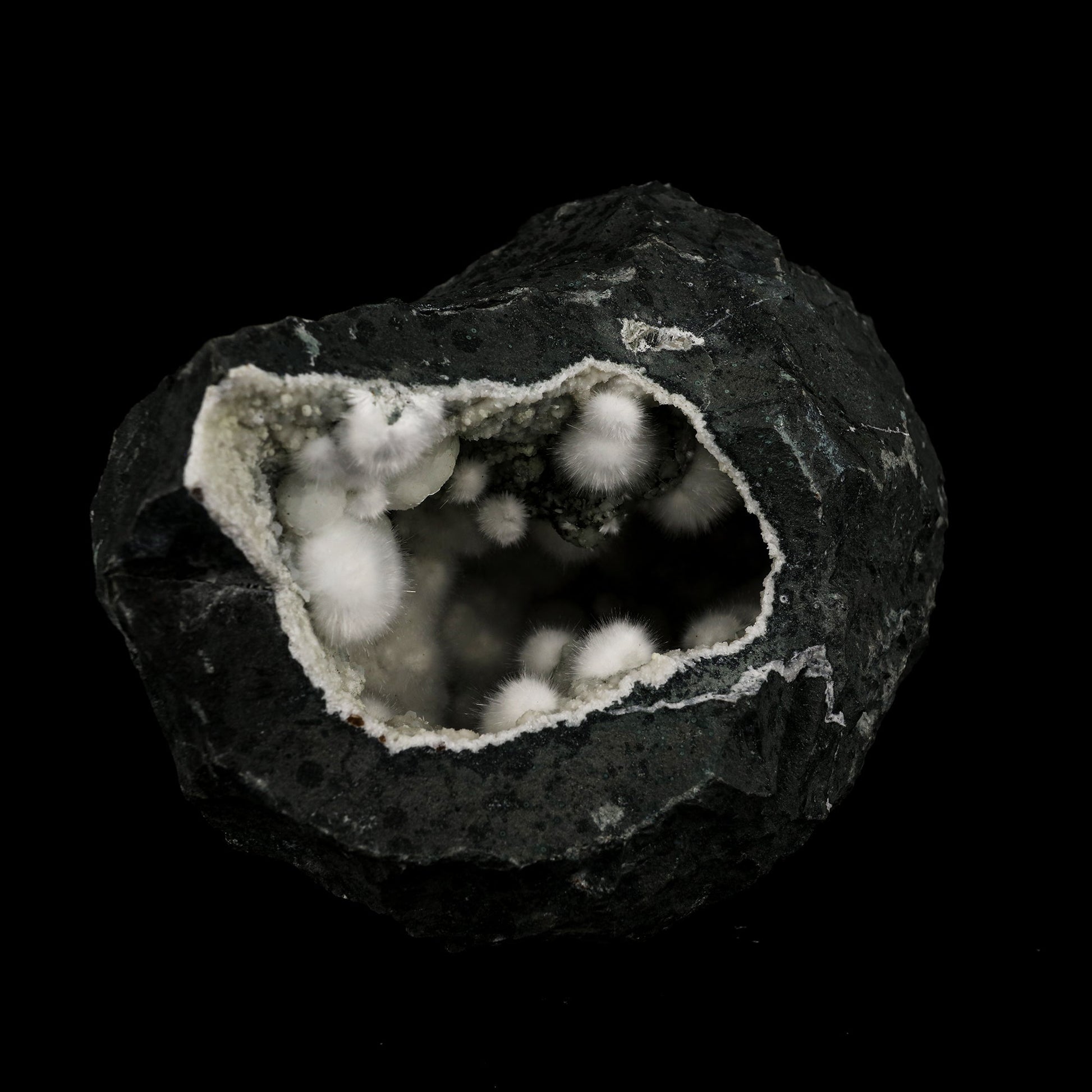 Okenite Big Puffballs Inside Chalcedony Geode Natural Mineral Specimen # B 6199 Okenite Superb Minerals 