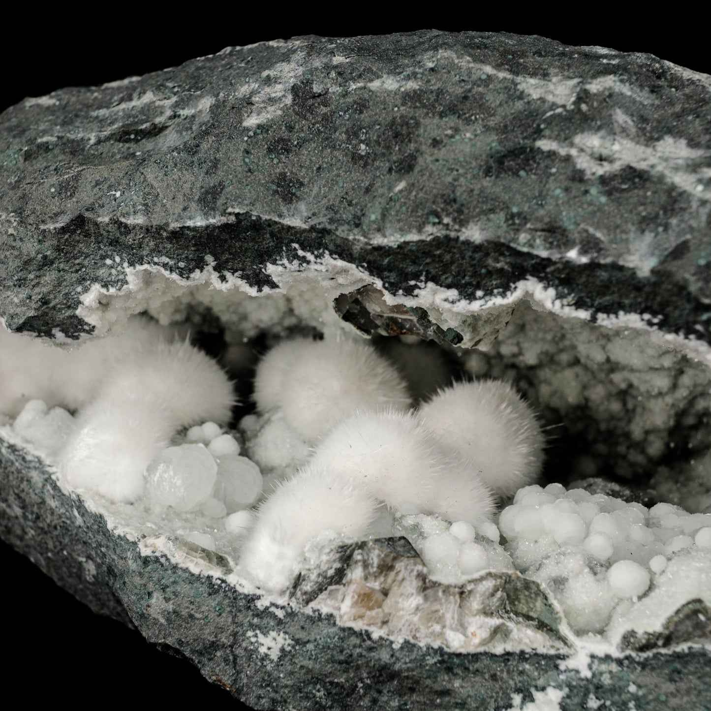 Okenite Big Puffballs Inside Gyrolite Geode Natural Mineral Specimen # B 5867 Okenite Superb Minerals 