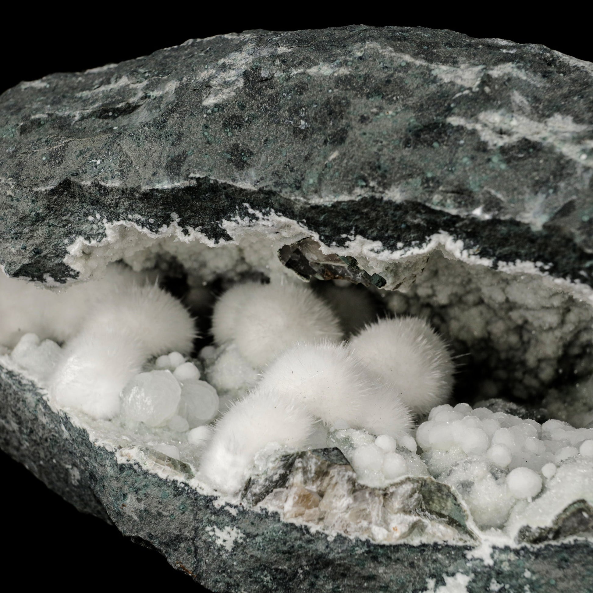Okenite Big Puffballs Inside Gyrolite Geode Natural Mineral Specimen # B 5867 Okenite Superb Minerals 