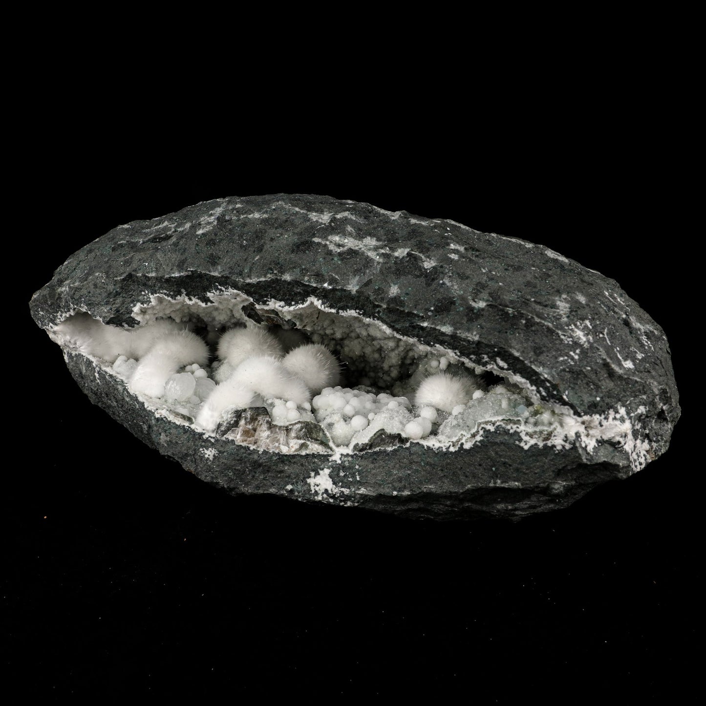 Okenite Big Puffballs Inside Gyrolite Geode Natural Mineral Specimen # B 5867 Okenite Superb Minerals 
