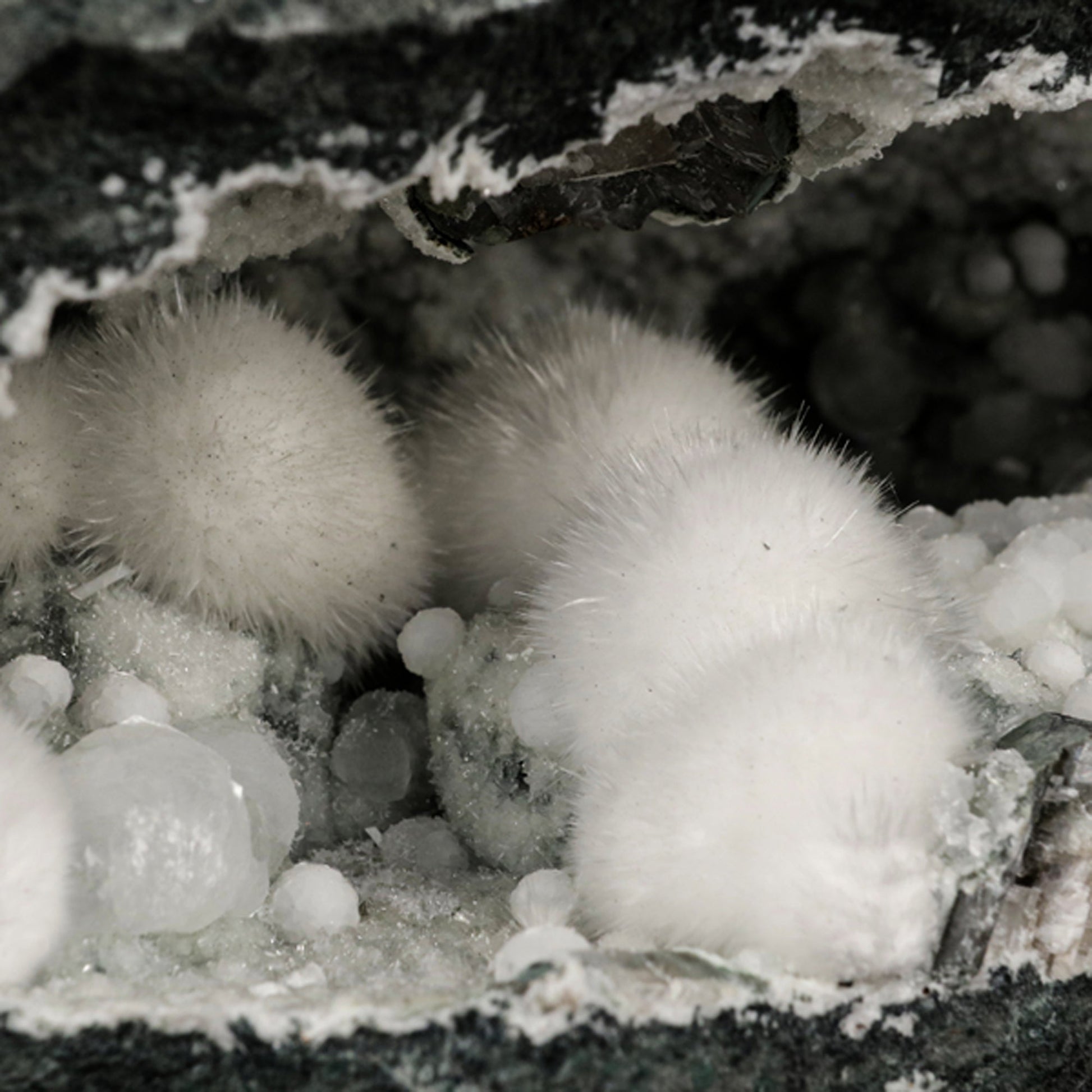 Okenite Big Puffballs Inside Gyrolite Geode Natural Mineral Specimen # B 5867 Okenite Superb Minerals 