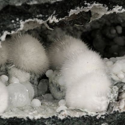 Okenite Big Puffballs Inside Gyrolite Geode Natural Mineral Specimen # B 5867 Okenite Superb Minerals 