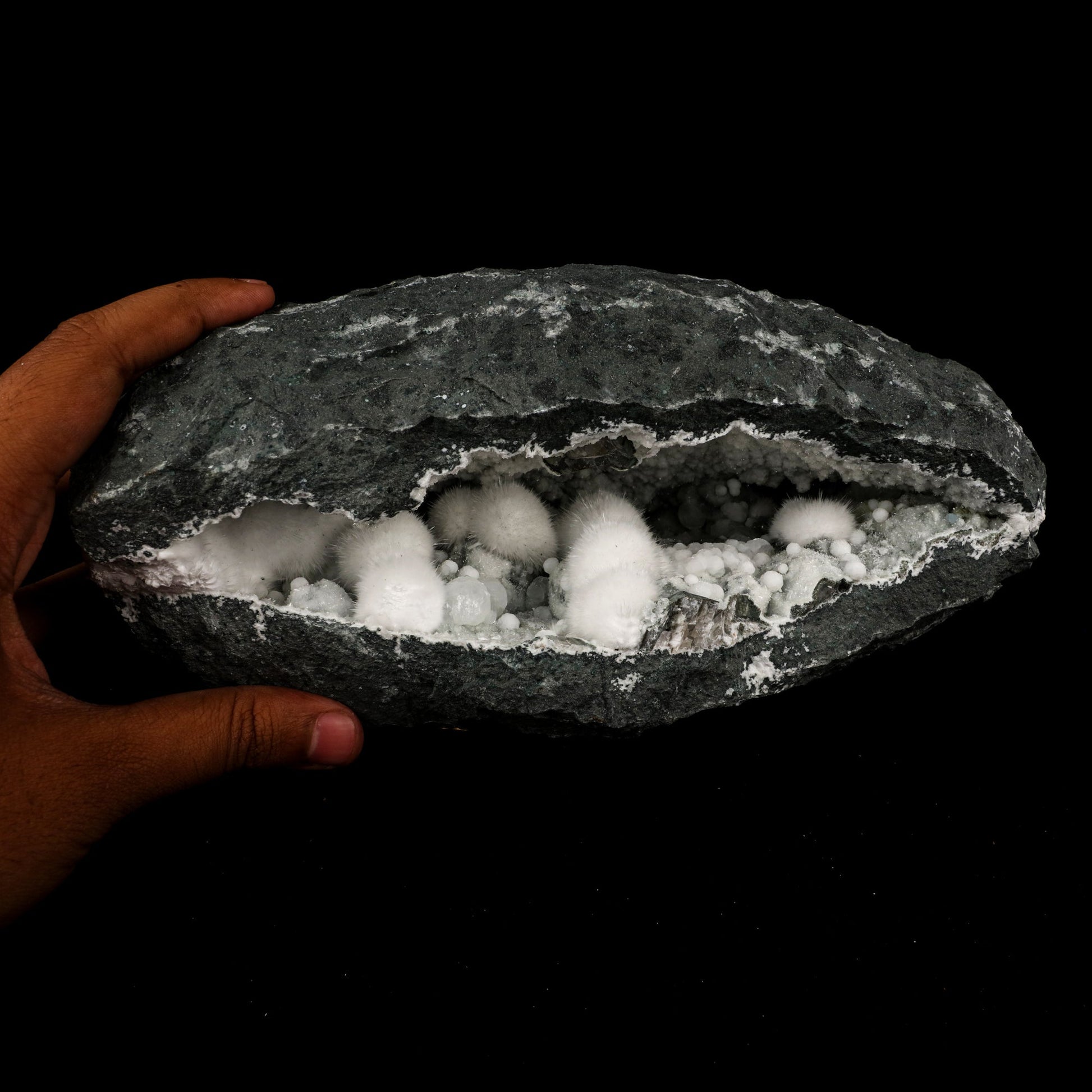 Okenite Big Puffballs Inside Gyrolite Geode Natural Mineral Specimen # B 5867 Okenite Superb Minerals 