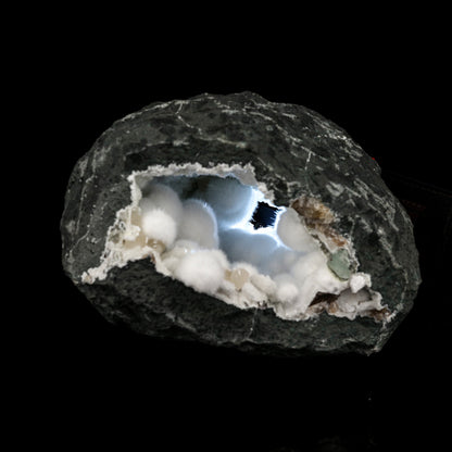 Okenite Big Puffballs Inside Gyrolite Geode Natural Mineral Specimen # B 6177 Okenite Superb Minerals 