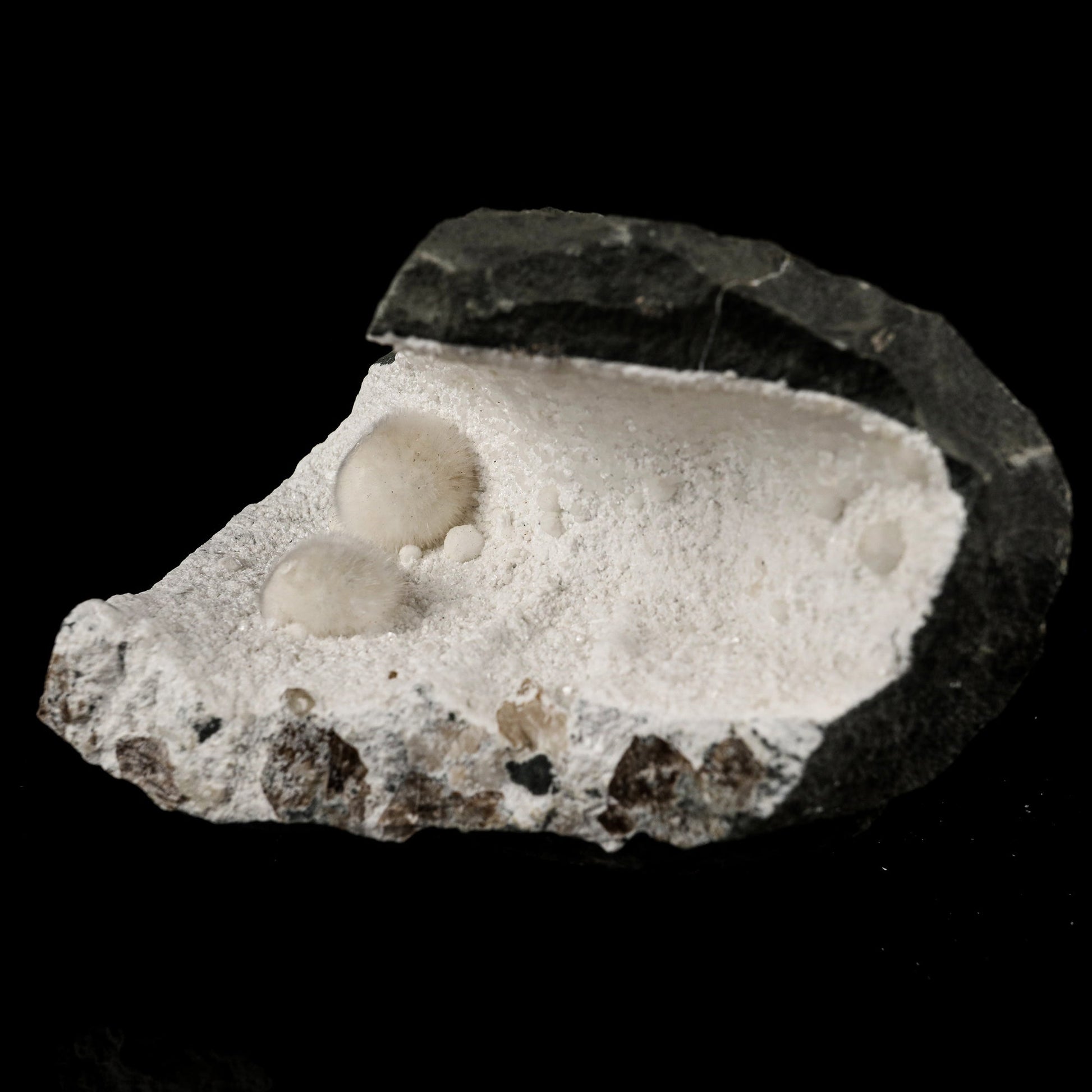 Okenite Big Puffballs Inside Mordenite Geode Natural Mineral Specimen # B 5804 Okenite Superb Minerals 