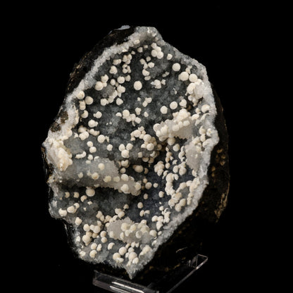 Okenite Small Puffballs on MM Quartz Natural Mineral Specimen # B 5879 Okenite Superb Minerals 
