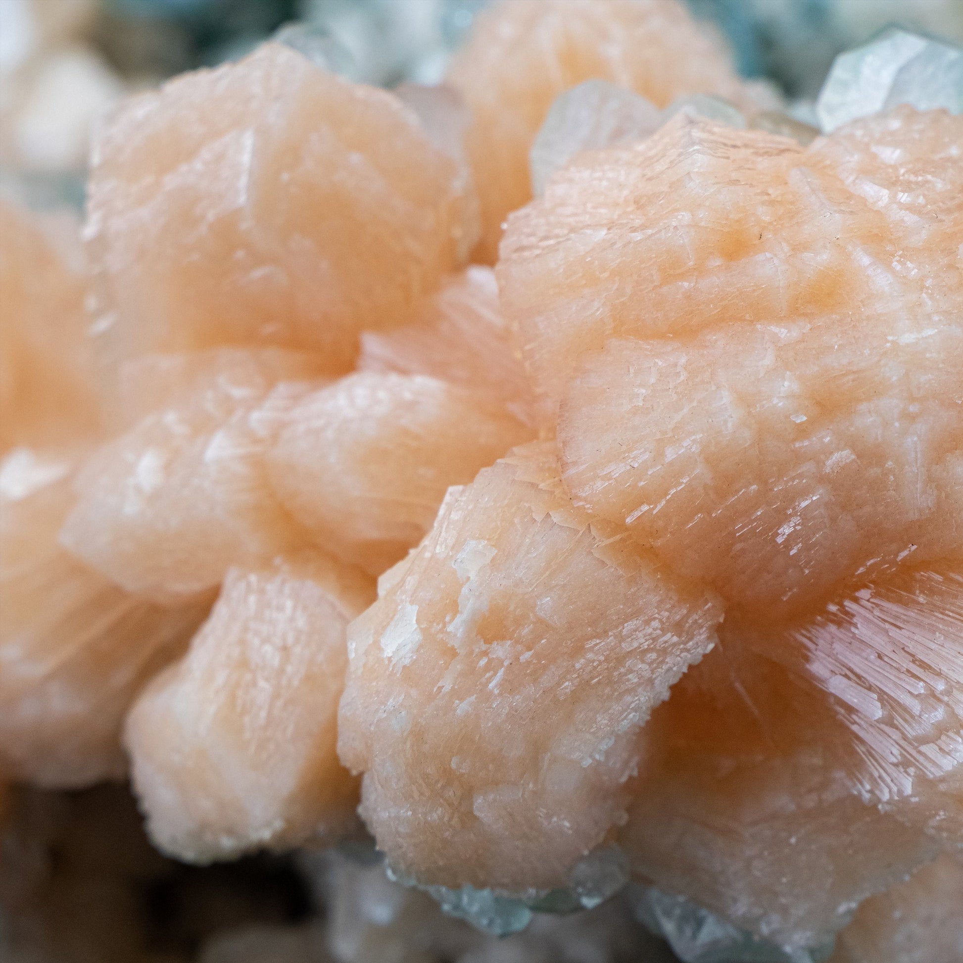 One time find of bright orange crystals with Unusual growth of Green Marshy Apophyllite - #C6 Stilbite Superb Minerals 