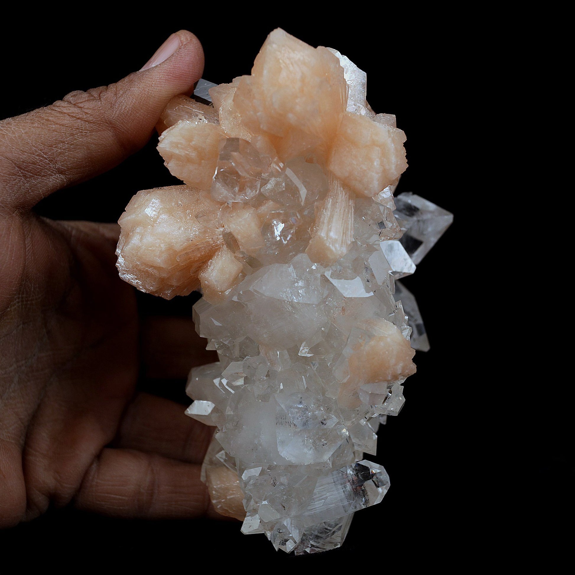 Peach Stilbite on Sprakling Apophyllite Crystals Natural Mineral Speci…  https://www.superbminerals.us/products/peach-stilbite-on-sprakling-apophyllite-crystals-natural-mineral-specimen-b-4054  Features:Classic combination specimen from the basalt trap rock quarries of India featuring a Fluorapophyllite crystal cluster with a Stilbite bowtie! While common in general, this is really a special piece - more beautiful and sparkly than most. The Fluorapophyllite is glassy, transparent to translucent