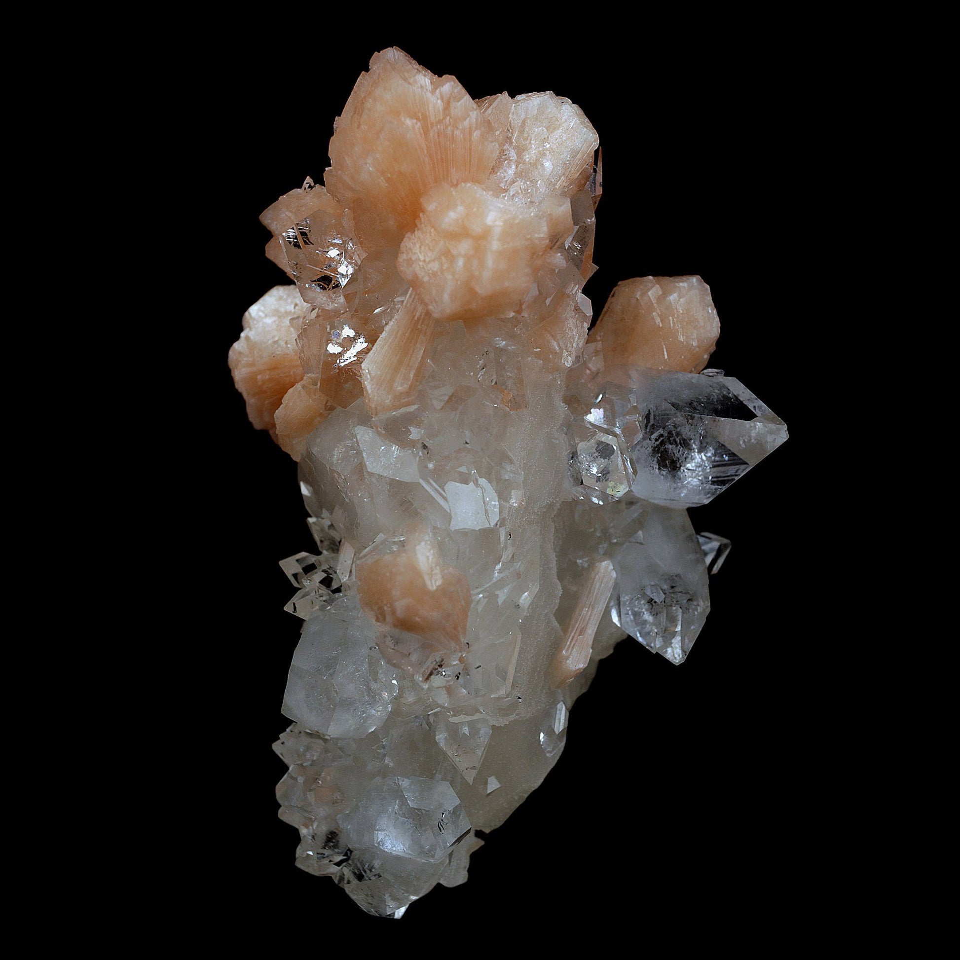Peach Stilbite on Sprakling Apophyllite Crystals Natural Mineral Speci…  https://www.superbminerals.us/products/peach-stilbite-on-sprakling-apophyllite-crystals-natural-mineral-specimen-b-4054  Features:Classic combination specimen from the basalt trap rock quarries of India featuring a Fluorapophyllite crystal cluster with a Stilbite bowtie! While common in general, this is really a special piece - more beautiful and sparkly than most. The Fluorapophyllite is glassy, transparent to translucent