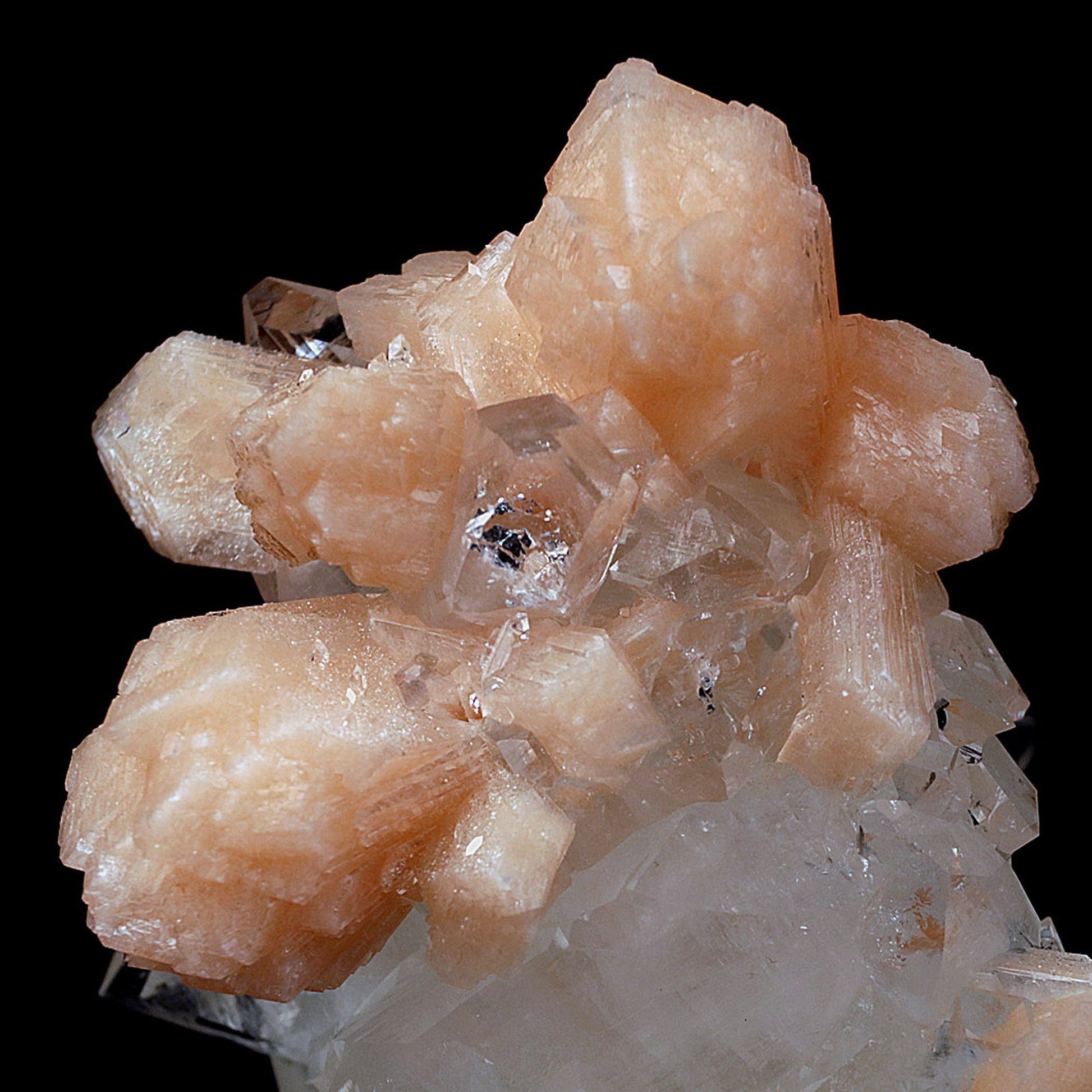 Peach Stilbite on Sprakling Apophyllite Crystals Natural Mineral Speci…  https://www.superbminerals.us/products/peach-stilbite-on-sprakling-apophyllite-crystals-natural-mineral-specimen-b-4054  Features:Classic combination specimen from the basalt trap rock quarries of India featuring a Fluorapophyllite crystal cluster with a Stilbite bowtie! While common in general, this is really a special piece - more beautiful and sparkly than most. The Fluorapophyllite is glassy, transparent to translucent