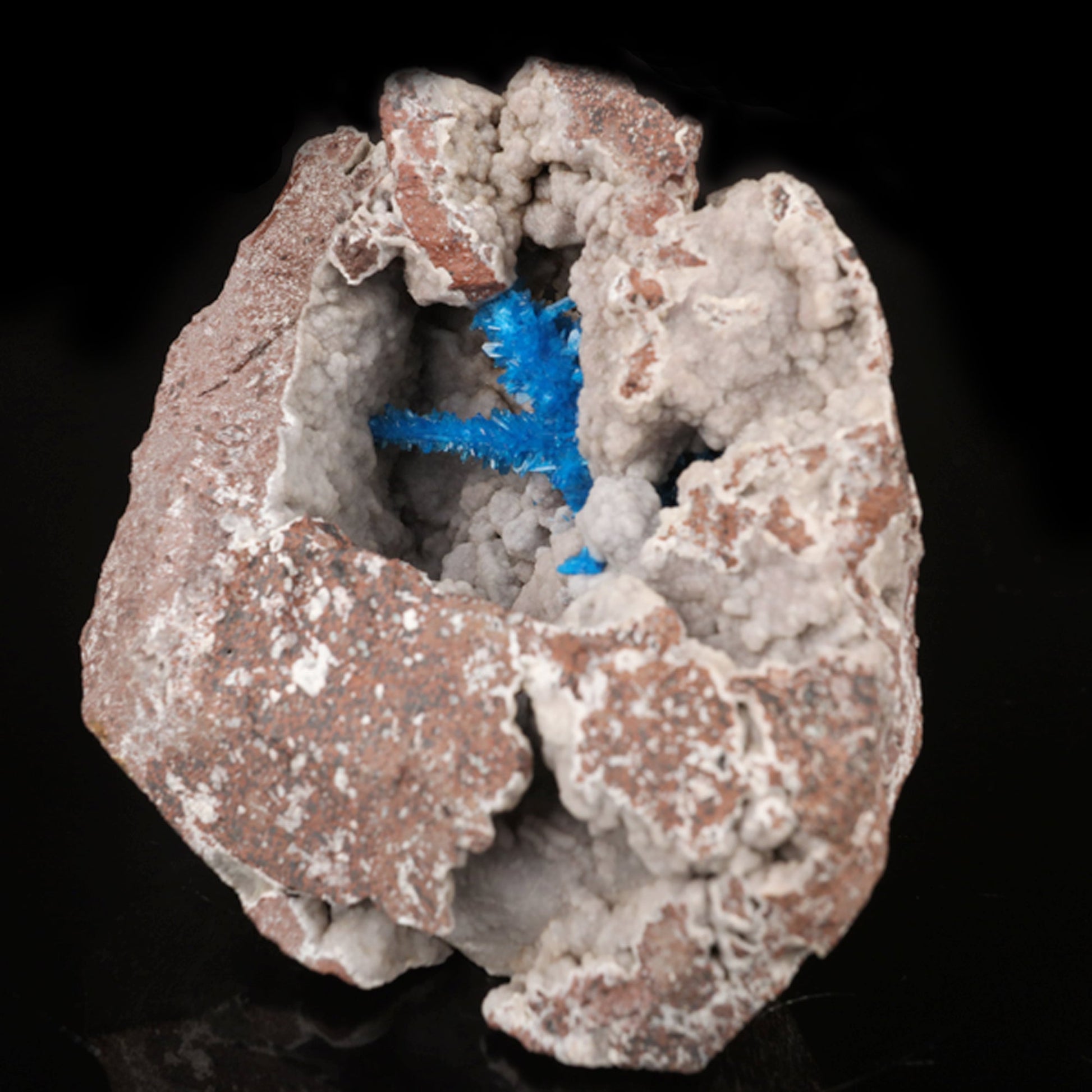 Pentagonite on Chalcedony Rare Find Natural Mineral Specimen # B 5793 Pentagonite Superb Minerals 