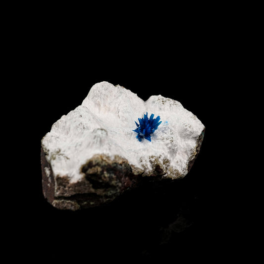 Pentagonite on Mordeite (Rare Find) Natural Mineral Specimen # B 5653 Pentagonite Superb Minerals 
