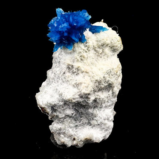 Pentagonite on Mordeite (Rare Find) Natural Mineral Specimen # B 5673 pentagonite Superb Minerals 