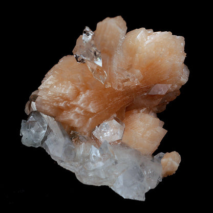 Perfect Bow Stilbite with Apophyllite Natural Mineral Specimen # B 406…  https://www.superbminerals.us/products/perfect-bow-stilbite-with-apophyllite-natural-mineral-specimen-b-4060  Features:A very large cluster of lustrous, water-clear Apopyllite crystals (up to 6.5 cm), many doubly terminated, hosting a big peach-colored bow shape Stilbite. But what really sets this piece apart is the pristine, translucent, peach-colored bow-tie Stilbite crystal that rises from center of the Apophyllite cluster
