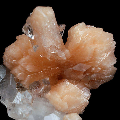 Perfect Bow Stilbite with Apophyllite Natural Mineral Specimen # B 406…  https://www.superbminerals.us/products/perfect-bow-stilbite-with-apophyllite-natural-mineral-specimen-b-4060  Features:A very large cluster of lustrous, water-clear Apopyllite crystals (up to 6.5 cm), many doubly terminated, hosting a big peach-colored bow shape Stilbite. But what really sets this piece apart is the pristine, translucent, peach-colored bow-tie Stilbite crystal that rises from center of the Apophyllite cluster