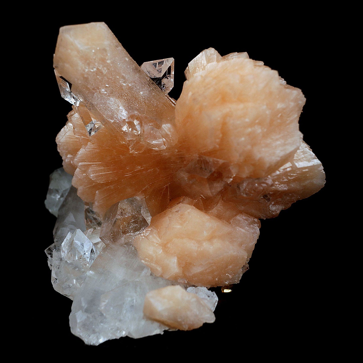 Perfect Bow Stilbite with Apophyllite Natural Mineral Specimen # B 406…  https://www.superbminerals.us/products/perfect-bow-stilbite-with-apophyllite-natural-mineral-specimen-b-4060  Features:A very large cluster of lustrous, water-clear Apopyllite crystals (up to 6.5 cm), many doubly terminated, hosting a big peach-colored bow shape Stilbite. But what really sets this piece apart is the pristine, translucent, peach-colored bow-tie Stilbite crystal that rises from center of the Apophyllite cluster