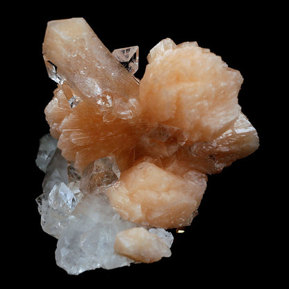 Perfect Bow Stilbite with Apophyllite Natural Mineral Specimen # B 406…  https://www.superbminerals.us/products/perfect-bow-stilbite-with-apophyllite-natural-mineral-specimen-b-4060  Features:A very large cluster of lustrous, water-clear Apopyllite crystals (up to 6.5 cm), many doubly terminated, hosting a big peach-colored bow shape Stilbite. But what really sets this piece apart is the pristine, translucent, peach-colored bow-tie Stilbite crystal that rises from center of the Apophyllite cluster