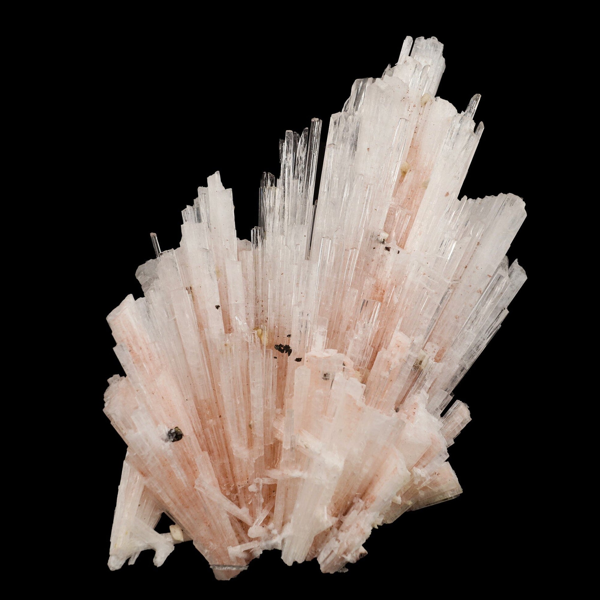 Pink Scolecite Sprays Rare found Natural Mineral Specimen # B 6662 Scolecite Superb Minerals 