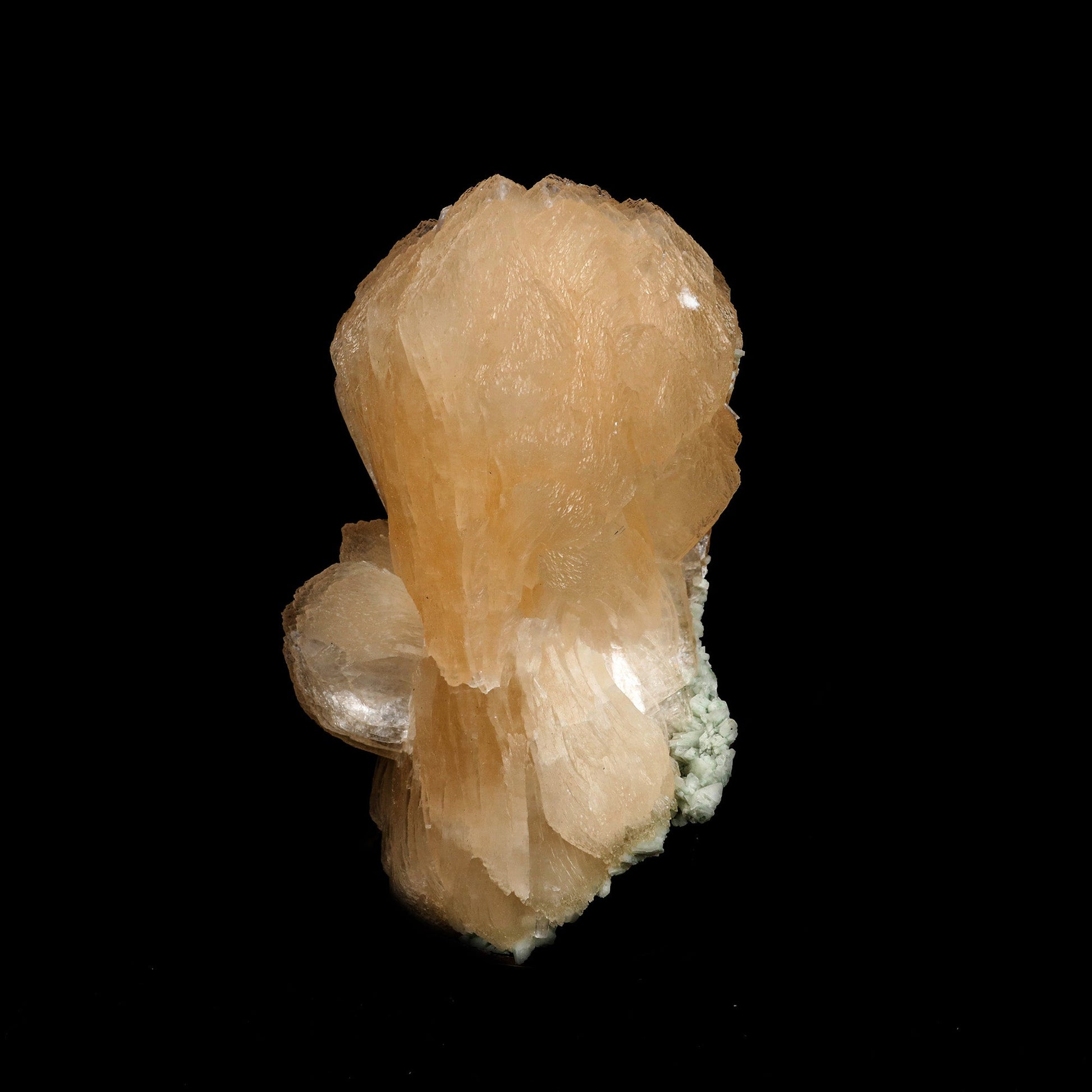 Pink Stilbite Bow Tie Cluster Natural Mineral Specimen # B 5281  https://www.superbminerals.us/products/pink-stilbite-bow-tie-cluster-natural-mineral-specimen-b-5281  Features: Stilbite from the traprock quarries in Jalgaon, India, is a stunning, lustrous, translucent, salmon-pink "bow tie." It is a common material in principle, but this piece stands out for its color and form! This is a common Zeolite species that has a classic bowtie shape, and yet has exceptional color