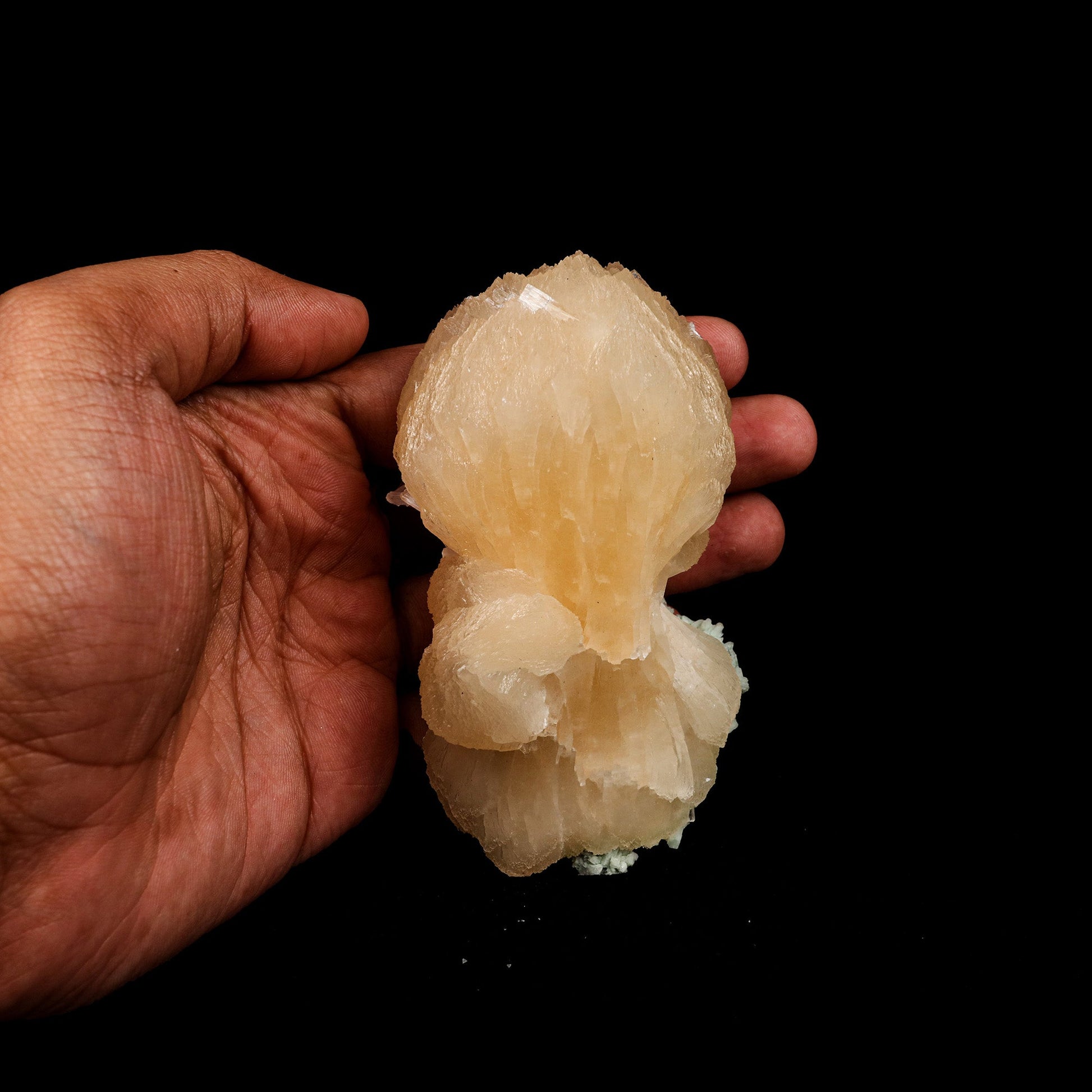 Pink Stilbite Bow Tie Cluster Natural Mineral Specimen # B 5281  https://www.superbminerals.us/products/pink-stilbite-bow-tie-cluster-natural-mineral-specimen-b-5281  Features: Stilbite from the traprock quarries in Jalgaon, India, is a stunning, lustrous, translucent, salmon-pink "bow tie." It is a common material in principle, but this piece stands out for its color and form! This is a common Zeolite species that has a classic bowtie shape, and yet has exceptional color