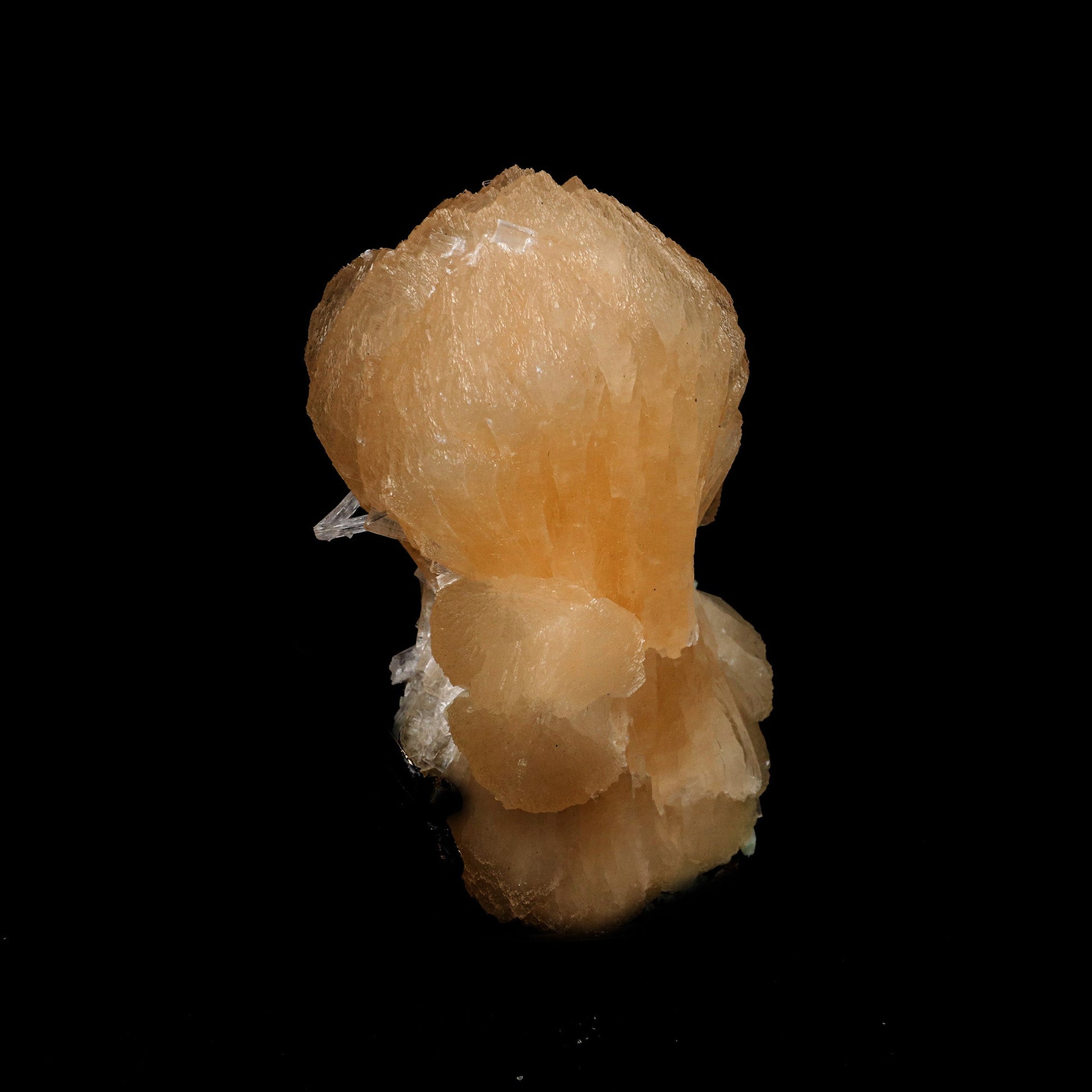 Pink Stilbite Bow Tie Cluster Natural Mineral Specimen # B 5281  https://www.superbminerals.us/products/pink-stilbite-bow-tie-cluster-natural-mineral-specimen-b-5281  Features: Stilbite from the traprock quarries in Jalgaon, India, is a stunning, lustrous, translucent, salmon-pink "bow tie." It is a common material in principle, but this piece stands out for its color and form! This is a common Zeolite species that has a classic bowtie shape, and yet has exceptional color