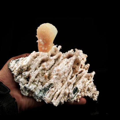 Pink Stilbite Crystal on Chalcedony Natural Coral Formation # B 2603 his is an intergrown group of lustrous, translucent, terra-cotta colored Stilbite on Chalcedony natural coral formation. Primary Mineral(s): Stilbite Secondary Mineral(s): N/AMatrix: Chalcedony19 cm x 14 cm750 GmsLocality: Aurangabad, Maharashtra, IndiaYear of Discovery: 2018