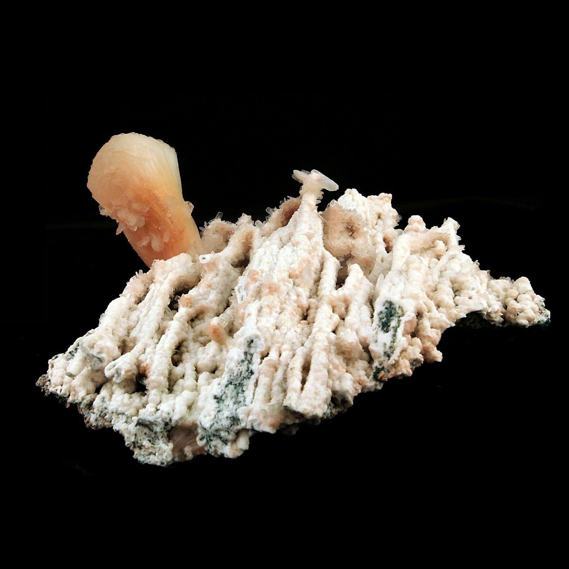 Pink Stilbite Crystal on Chalcedony Natural Coral Formation # B 2603 his is an intergrown group of lustrous, translucent, terra-cotta colored Stilbite on Chalcedony natural coral formation. Primary Mineral(s): Stilbite Secondary Mineral(s): N/AMatrix: Chalcedony19 cm x 14 cm750 GmsLocality: Aurangabad, Maharashtra, IndiaYear of Discovery: 2018