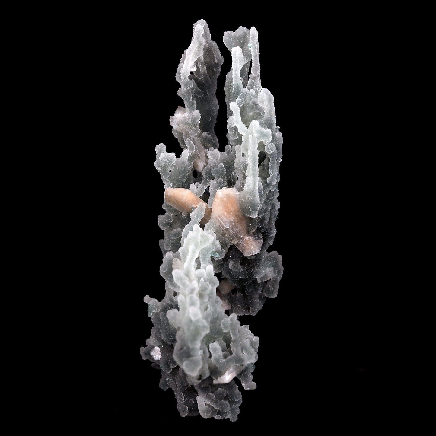 Pink Stilbite Crystal on Chalcedony Sea Coral Formation Natural Minera…  https://www.superbminerals.us/products/pink-stilbite-crystal-on-chalcedony-sea-coral-formation-natural-mineral-specimen-b-4457  Features:Unusual Stilbite from India, exhibiting a transparent, beige crystal with a pearly sheen sitting atop an off-white stalactitic Chalcedony cluster in an aesthetically pleasing display. A one-of-a-kind item in superb condition. Primary Mineral(s): StilbiteSecondary Mineral(s)