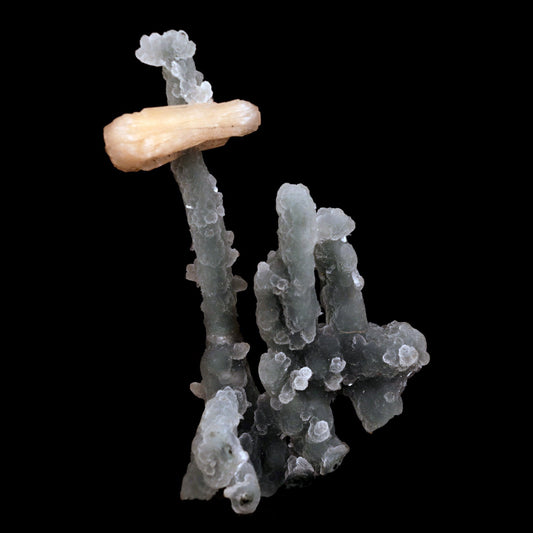 Pink Stilbite on Chalcedony Stalactite Natural Mineral Specimen # B 4833 Stilbite Superb Minerals 
