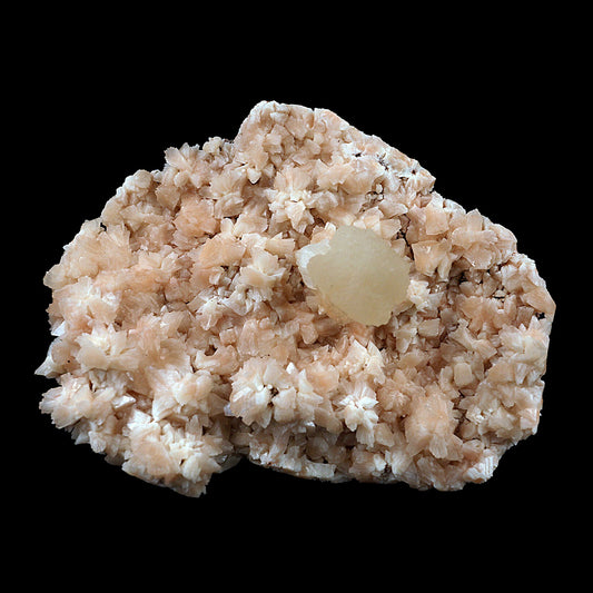 Pink Stilbite on Heulandite Natural Mineral Specimen # B 3434  https://www.superbminerals.us/products/pink-stilbite-on-heulandite-natural-mineral-specimen-b-3434  Features:A very aesthetic piece featuring a matrix densely coated with miniature, beige Heuladnite crystals with a lustrous, larger light-beige Stilbite crystals on matrix, Great contrast, color, symmetry and luster. In excellent condition. Primary Mineral(s): Stilbite