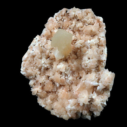 Pink Stilbite on Heulandite Natural Mineral Specimen # B 3434  https://www.superbminerals.us/products/pink-stilbite-on-heulandite-natural-mineral-specimen-b-3434  Features:A very aesthetic piece featuring a matrix densely coated with miniature, beige Heuladnite crystals with a lustrous, larger light-beige Stilbite crystals on matrix, Great contrast, color, symmetry and luster. In excellent condition. Primary Mineral(s): Stilbite