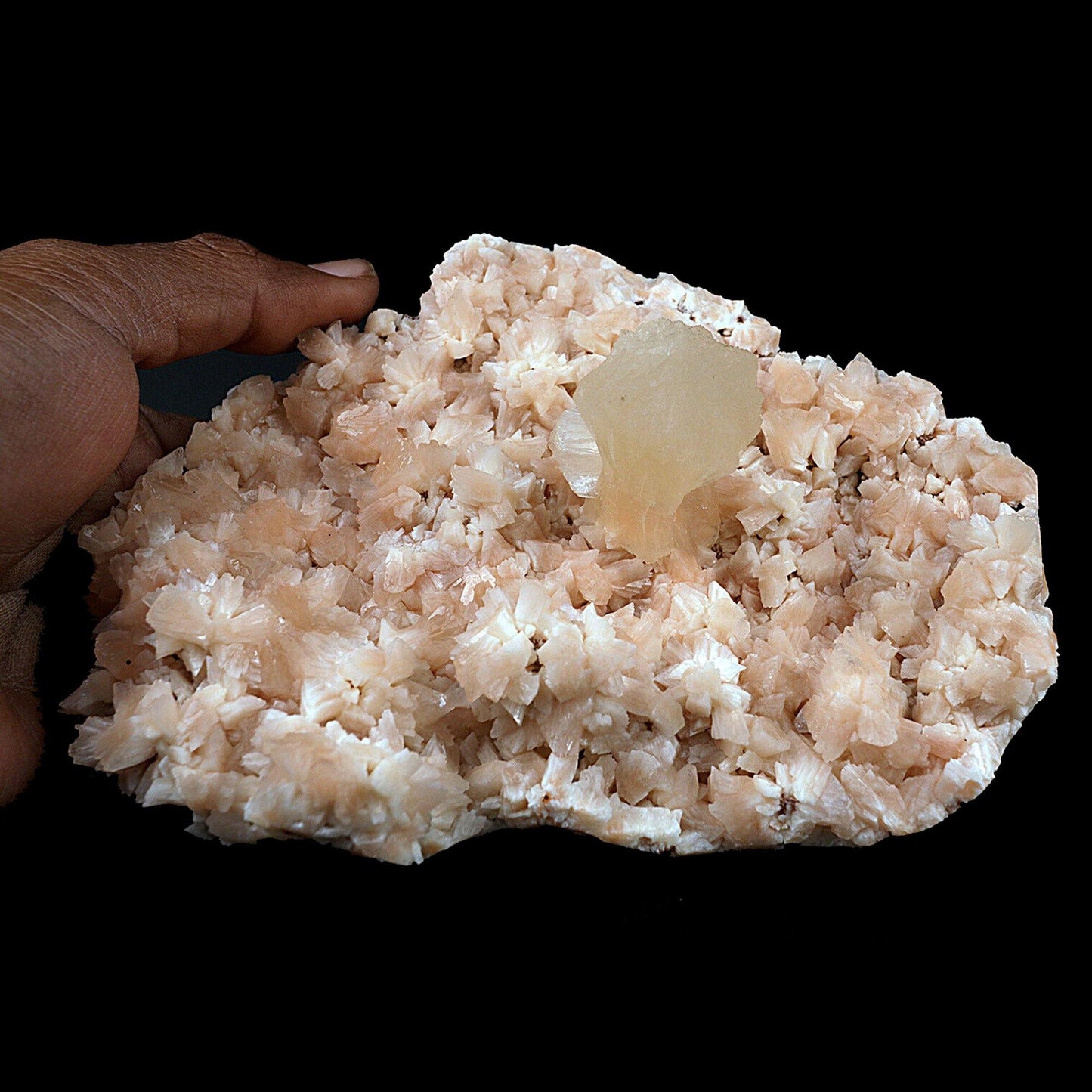 Pink Stilbite on Heulandite Natural Mineral Specimen # B 3434  https://www.superbminerals.us/products/pink-stilbite-on-heulandite-natural-mineral-specimen-b-3434  Features:A very aesthetic piece featuring a matrix densely coated with miniature, beige Heuladnite crystals with a lustrous, larger light-beige Stilbite crystals on matrix, Great contrast, color, symmetry and luster. In excellent condition. Primary Mineral(s): Stilbite