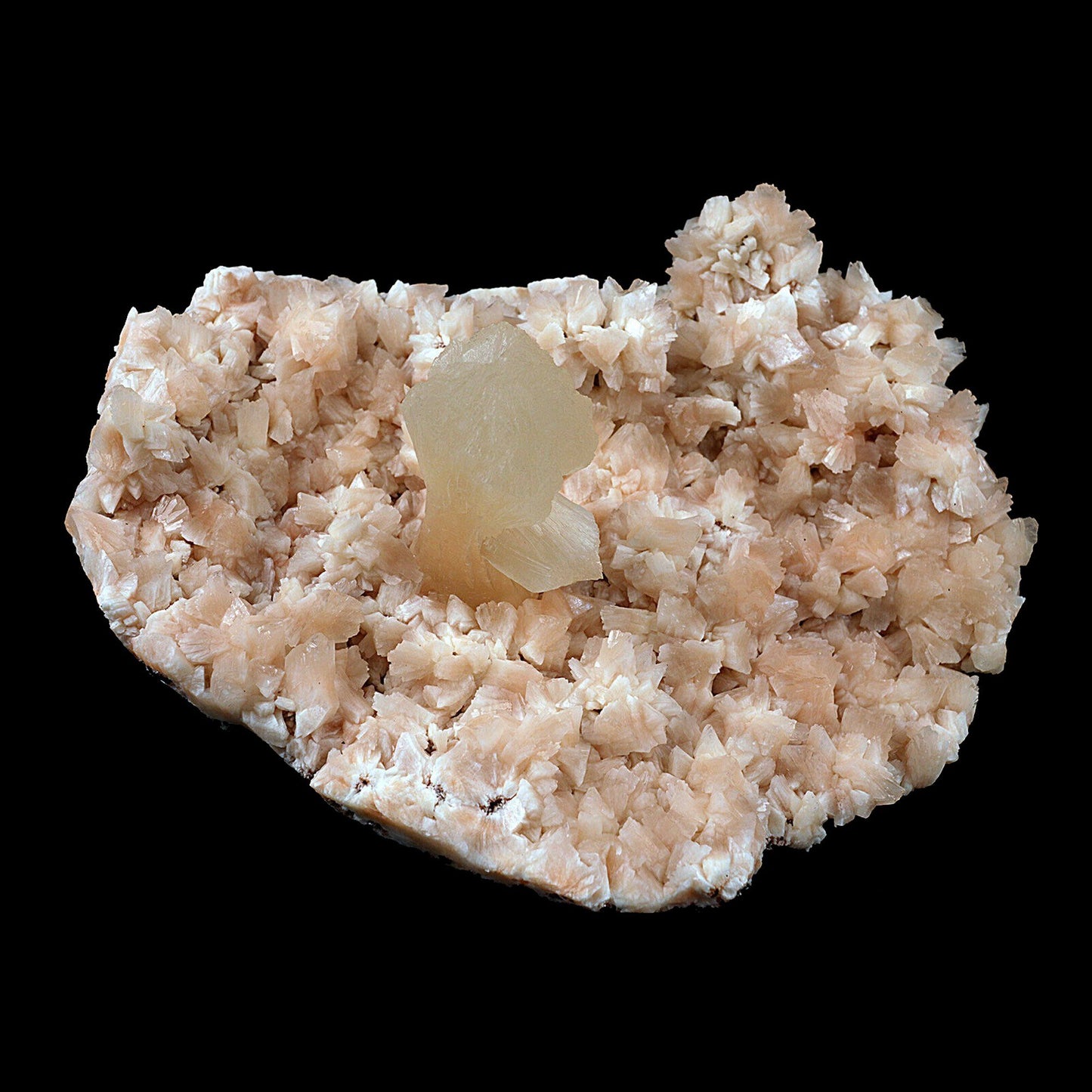 Pink Stilbite on Heulandite Natural Mineral Specimen # B 3434  https://www.superbminerals.us/products/pink-stilbite-on-heulandite-natural-mineral-specimen-b-3434  Features:A very aesthetic piece featuring a matrix densely coated with miniature, beige Heuladnite crystals with a lustrous, larger light-beige Stilbite crystals on matrix, Great contrast, color, symmetry and luster. In excellent condition. Primary Mineral(s): Stilbite