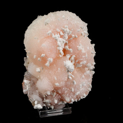 Pink Stilbite with mordenite Natural Mineral Specimen # B 6546 stilbite Superb Minerals 