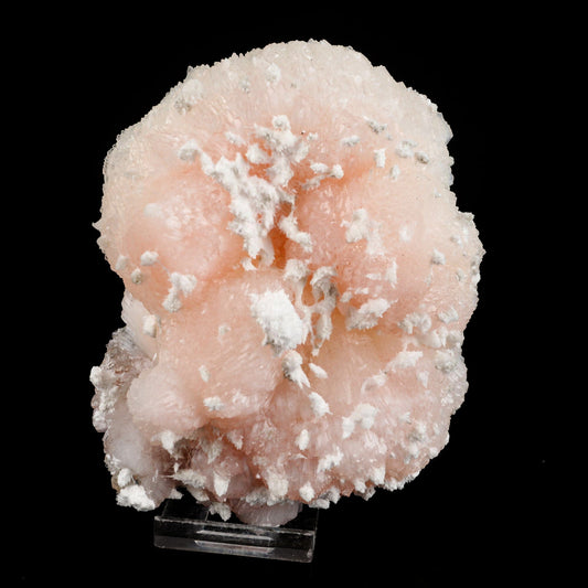 Pink Stilbite with mordenite Natural Mineral Specimen # B 6546 stilbite Superb Minerals 