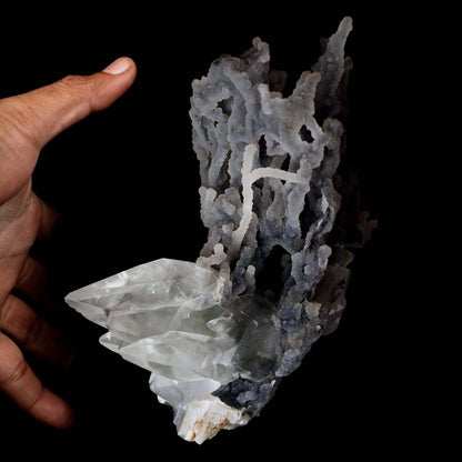 Pointed Calcite Crystal On Chalcedony Coral Formation Natural Mineral Specimen # B 4642 Calcite Superb Minerals 