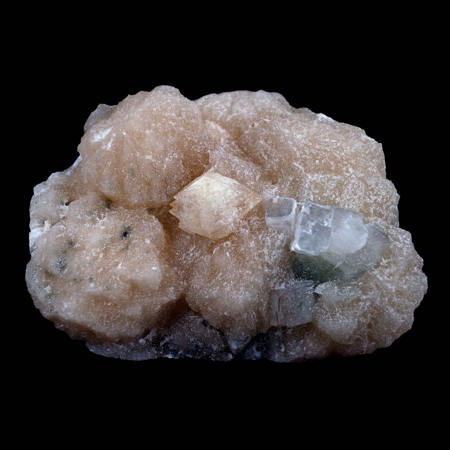 Powellite Fluorescent, Apophyllite Fuse with Stilbite Natural Mineral …  https://www.superbminerals.us/products/powellite-apophyllite-fuse-with-stilbite-natural-mineral-specimen-b-4016  Features:A well-formed pyramidal crystal of Powellite displays multiple terminations with gemmy to translucent tan-beige areas and great luster on a very well developed intergrown pink crystal matrix of Stilbite. The powellite crystals fluoresce a bright yellow, under UV light. A fine Powellite specimen from the Nashik