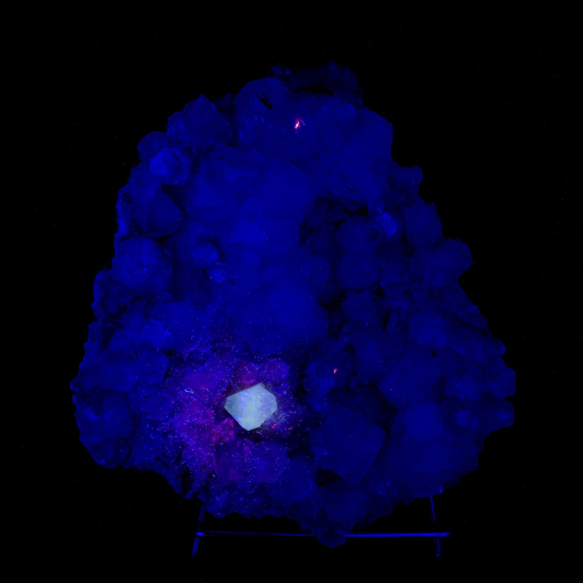 Powellite Fluorescent on Apophyllite Natural Mineral Specimen # B 6332 Powellite Superb Minerals 