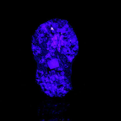 Powellite Fluorescent on Apophyllite Natural Mineral Specimen # B 6551 Apophyllite Superb Minerals 