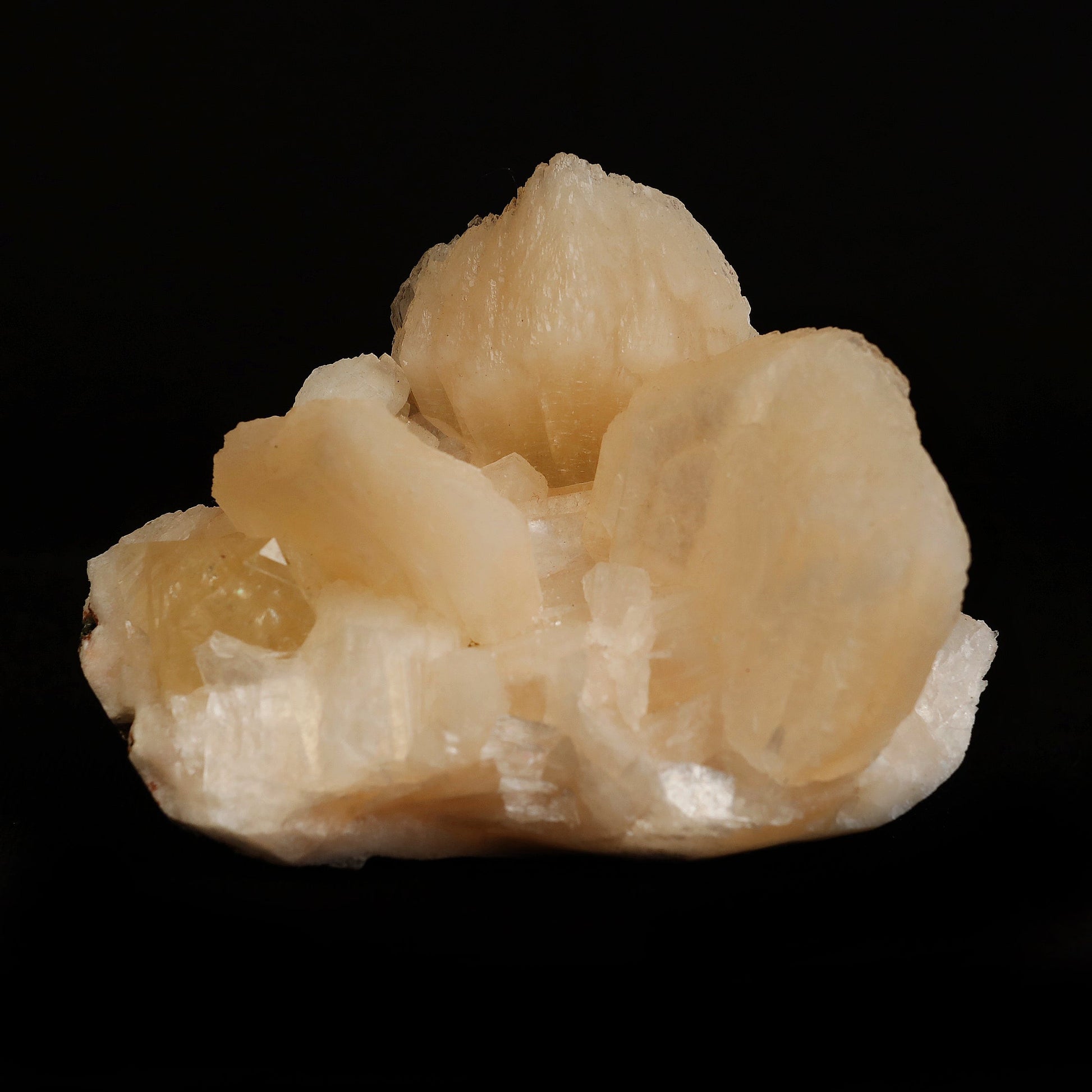 Powellite (Flurocent Mineral) With Stilbite Rare Find Natural Mineral …  https://www.superbminerals.us/products/powellite-flurocent-mineral-with-stilbite-rare-find-natural-mineral-specimen-b-5037  Features:&nbsp;Powellite is one of the rarest and most valuable minerals found in India's famous Deccan Trap basalts. This pair of beautiful yellow-orange crystals is nestled between and on top of exceedingly shiny and iridescent white Stilbite blades.Powellites feature a dazzling, golden fluorescence,