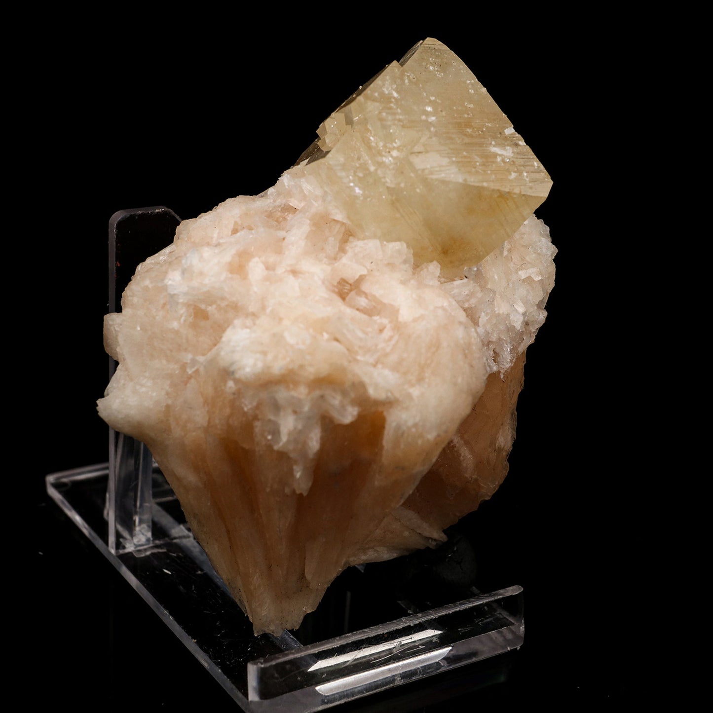 Powellite with Stilbite Rare Find Natural Mineral Specimen # B 5662 Powellite Superb Minerals 