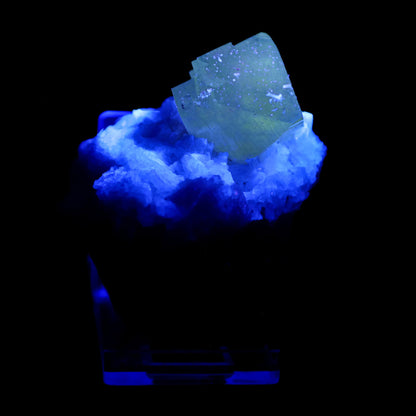 Powellite with Stilbite Rare Find Natural Mineral Specimen # B 5662 Powellite Superb Minerals 