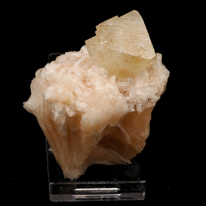 Powellite with Stilbite Rare Find Natural Mineral Specimen # B 5662 Powellite Superb Minerals 