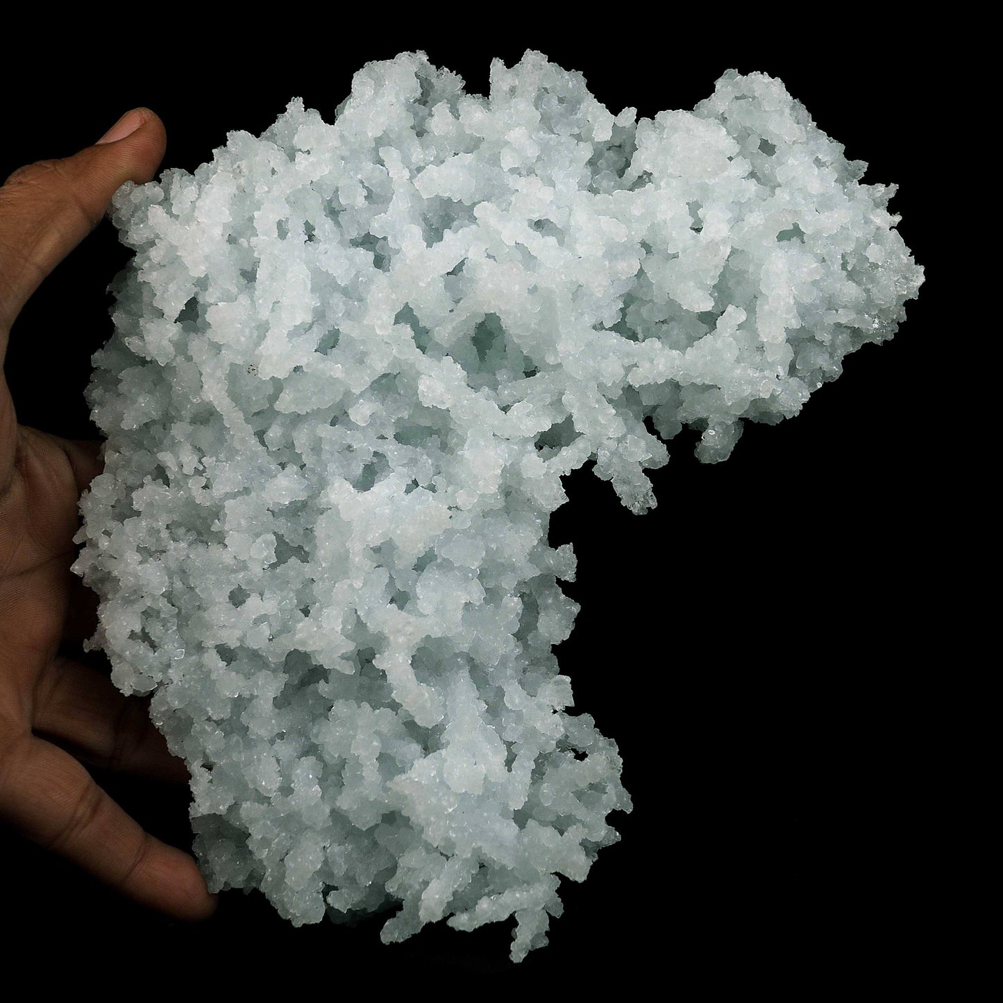 Prehnite Mesh Formation Natural Mineral Specimen # B 4545  https://www.superbminerals.us/products/prehnite-mesh-formation-natural-mineral-specimen-b-4545  Features:Prestigious jackstraw cluster of elongated laumontite crystals pseudomorphed from mint-green, transparent prehnite crystals. Malad Quarry in Mumbai is a well-known source of classic and outstanding antique material. Population increase forced the closure of the quarry in the last 20-30 years.