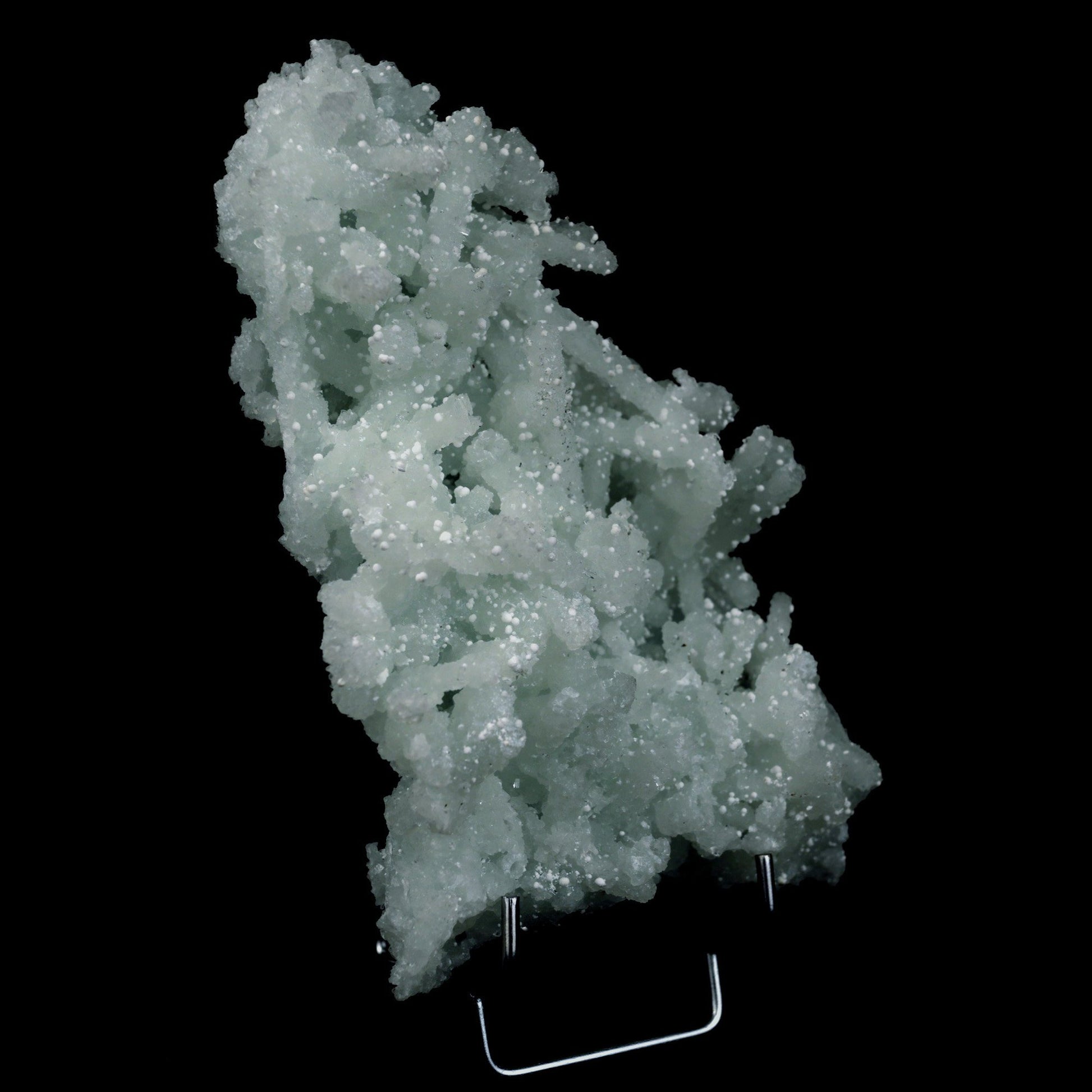 Prehnite Rare Find Natural Mineral Specimen # B 4717  https://www.superbminerals.us/products/prehnite-rare-find-natural-mineral-specimen-b-4717  Features: Pretty mint-green prehnite has pseudomorphed elongated laumontite crystals on this classic and excellent large jackstraw cluster from the famous Malad Quarry. The translucent pseudos and some of them are hollow on this impressive sculptural 360-degree specimen. Seldom on the market today,