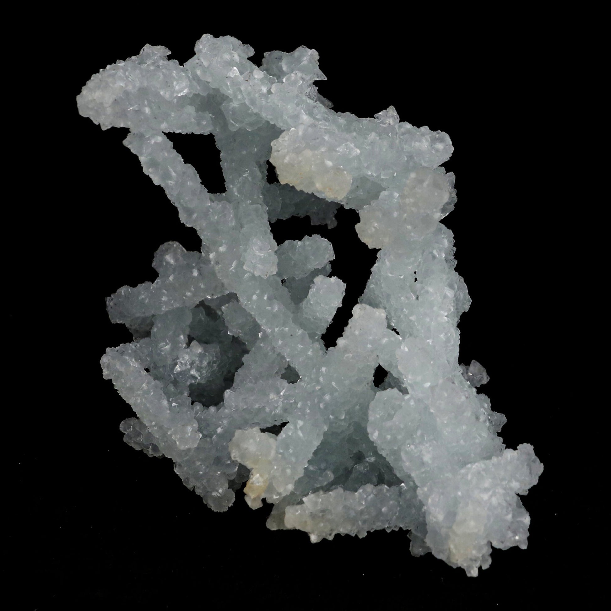 Prehnite Rare Find Natural Mineral Specimen# B 5382 Prehnite Superb Minerals 