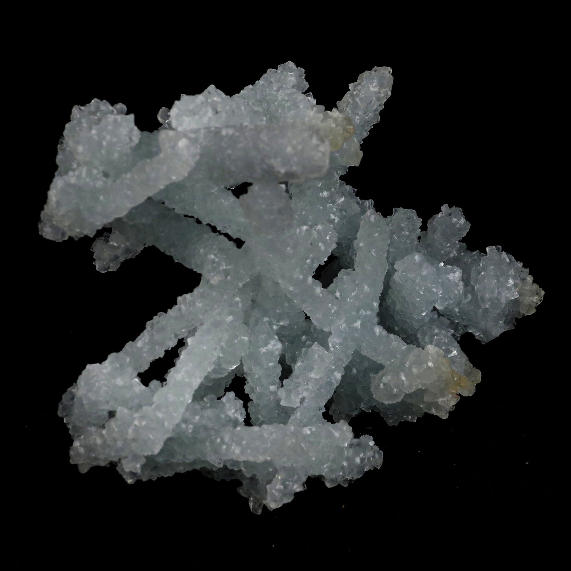 Prehnite Rare Find Natural Mineral Specimen# B 5382 Prehnite Superb Minerals 