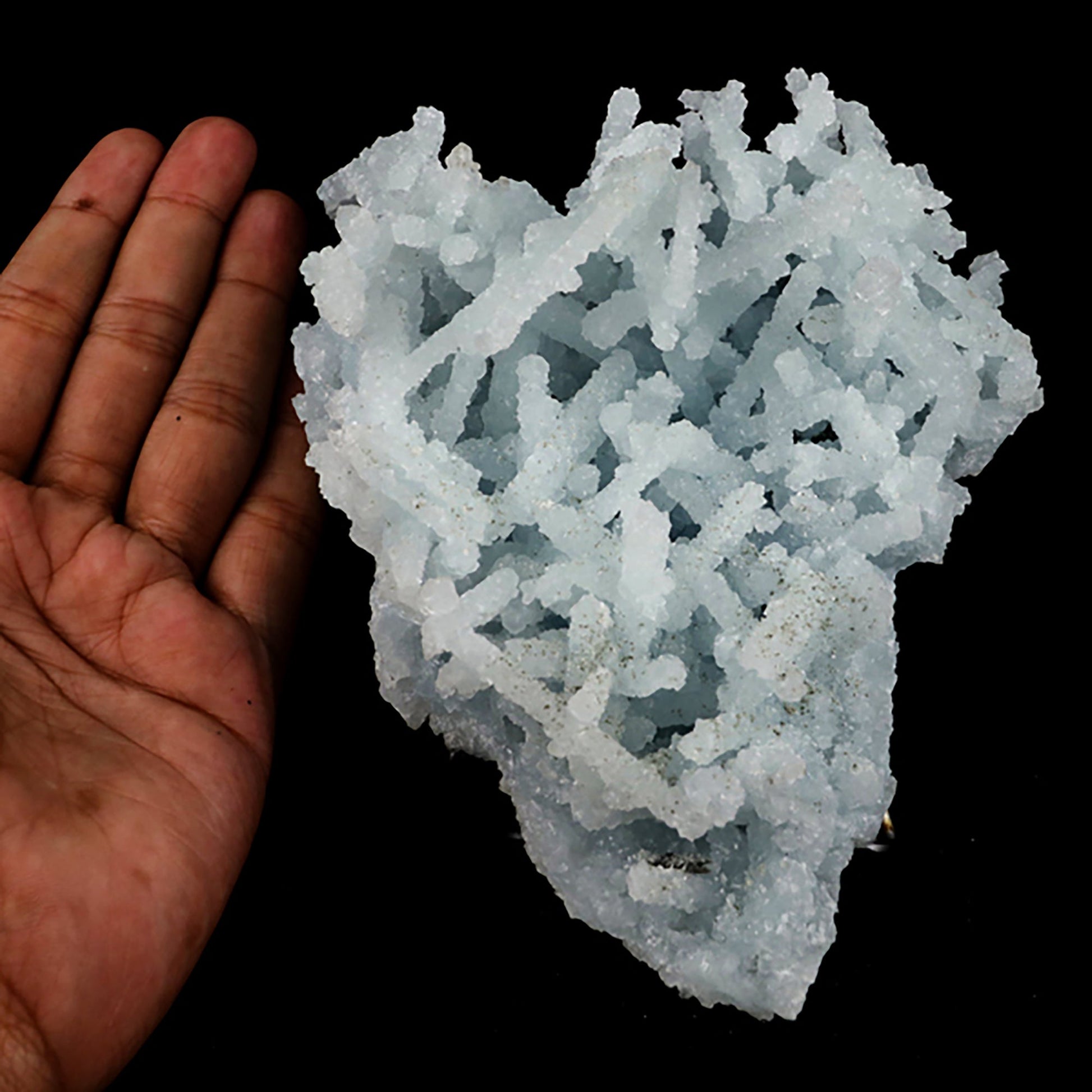 Prehnite Rare Find Natural Mineral Specimen # B 5401 Prehnite Superb Minerals 