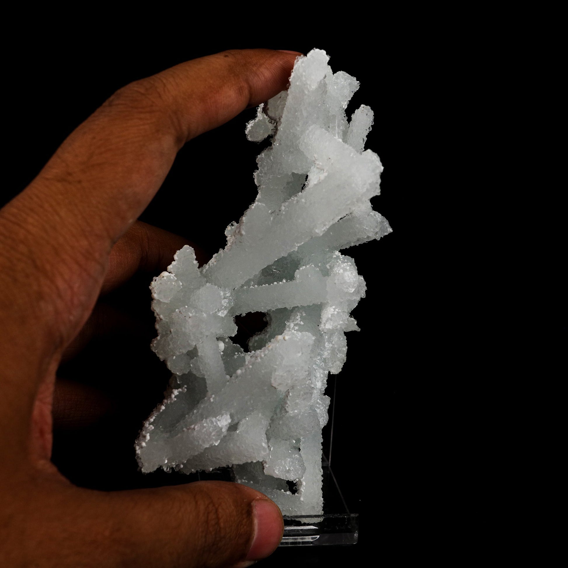 Prehnite Rare Find Natural Mineral Specimen # B 5682 Prehnite Superb Minerals 
