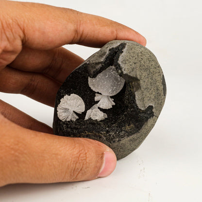 Rare Find Epi-Stilbite Inside Black Chalcedony Natural Mineral Specimen # B 6448 Epistilbite Superb Minerals 